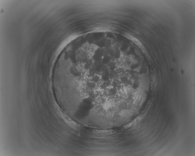 X0000067871427200604271724