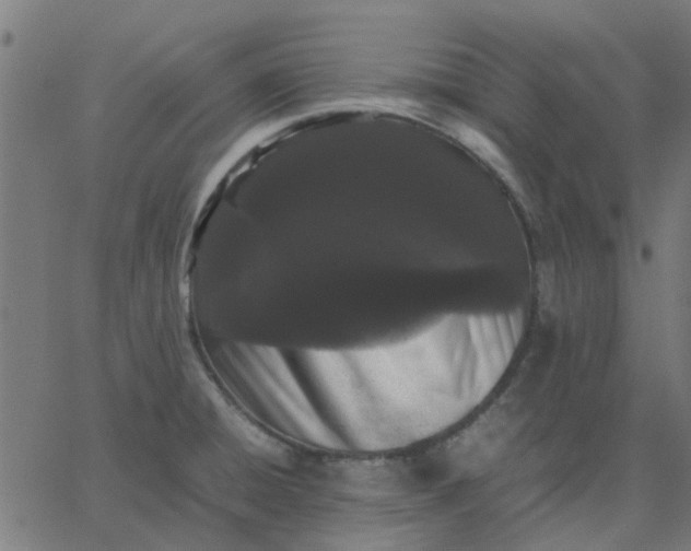 X0000067871428200604271724