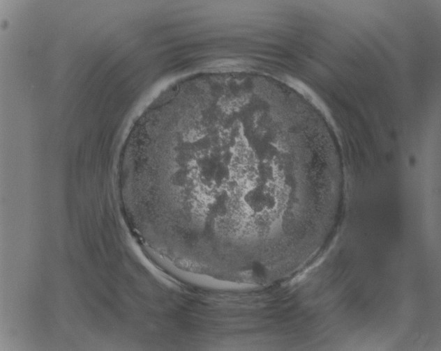 X0000067871429200604271724