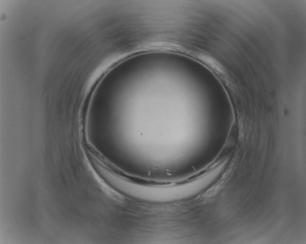 X0000067871430200604271724