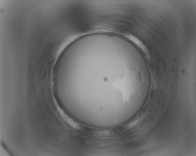 X0000067871431200604271724