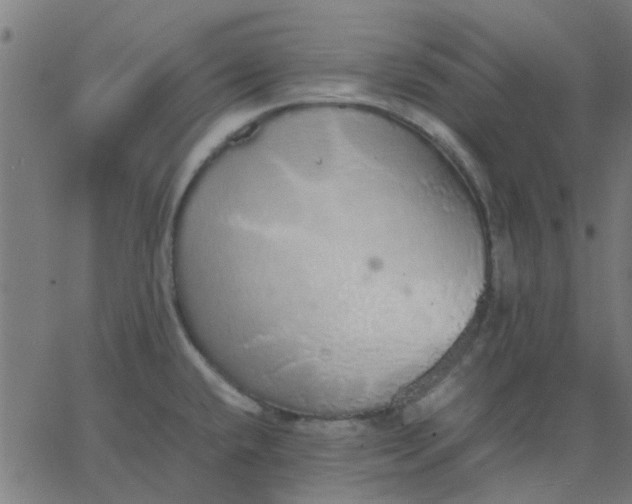 X0000067871432200604271724