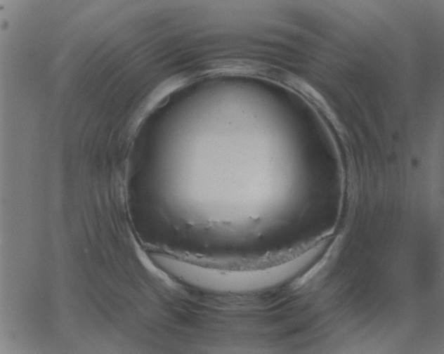 X0000067871433200604271724