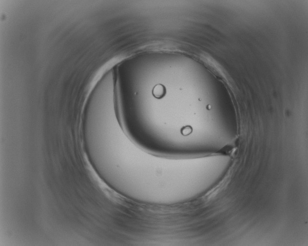 X0000067871434200604271724