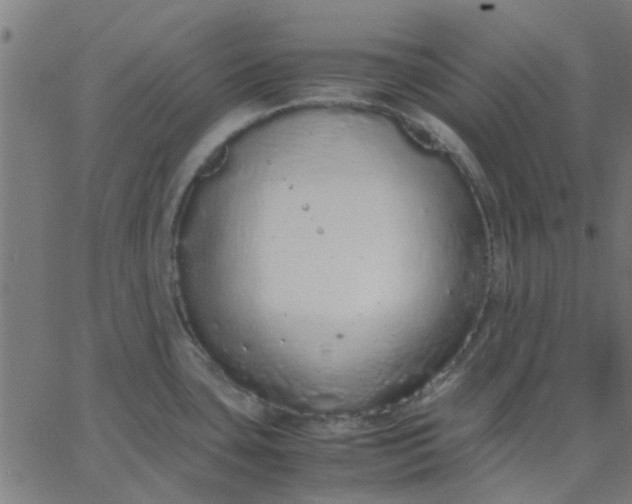 X0000067871435200604271724