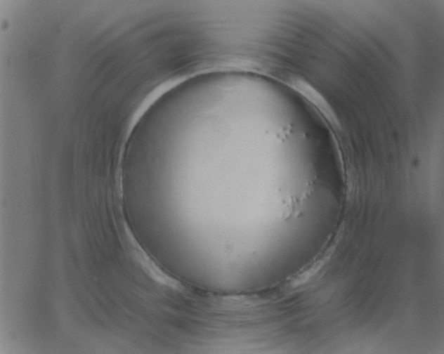 X0000067871436200604271724