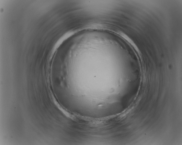 X0000067871437200604271724