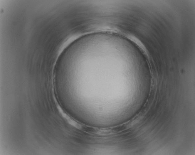 X0000067871439200604271724