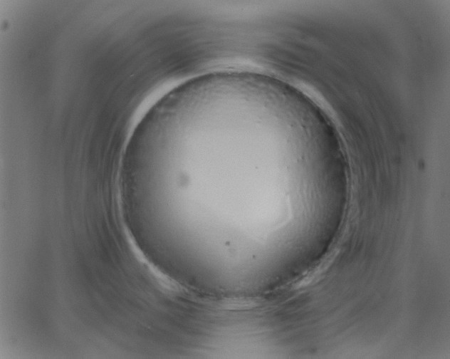 X0000067871440200604271724