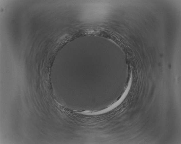 X0000067871441200604271724