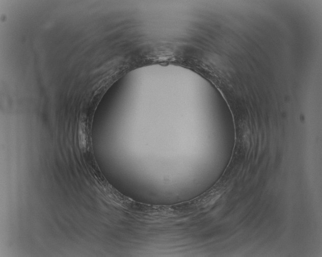 X0000067871442200604271724