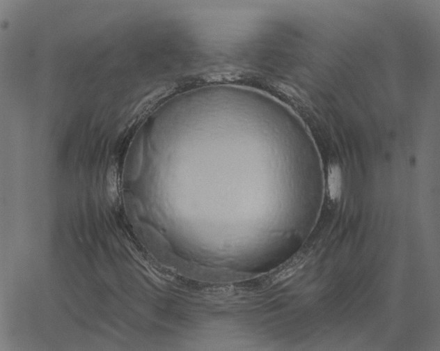 X0000067871444200604271724