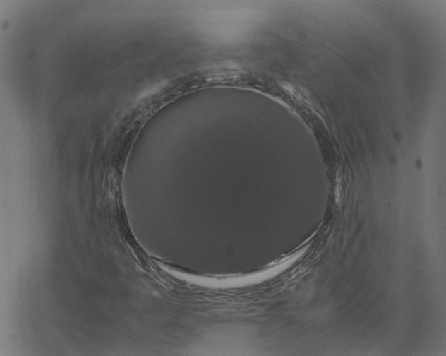 X0000067871445200604271724