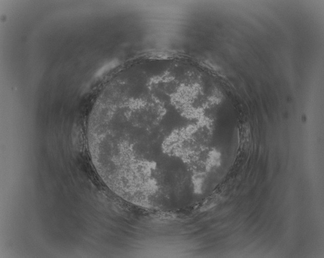 X0000067871446200604271724