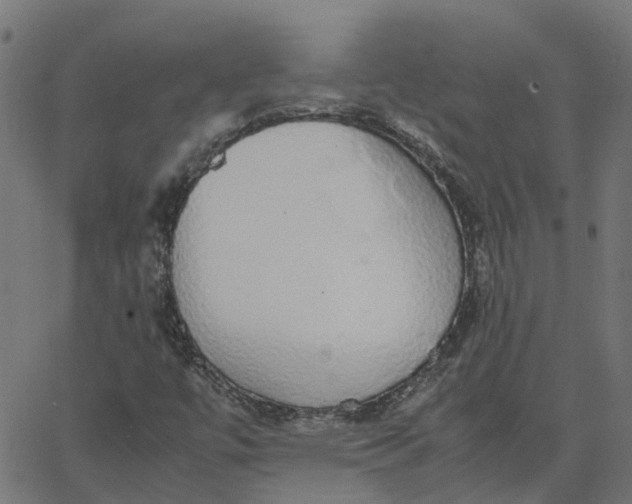 X0000067871447200604271724