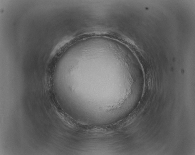 X0000067871448200604271724