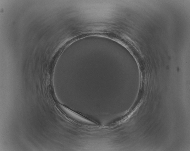 X0000067871449200604271723