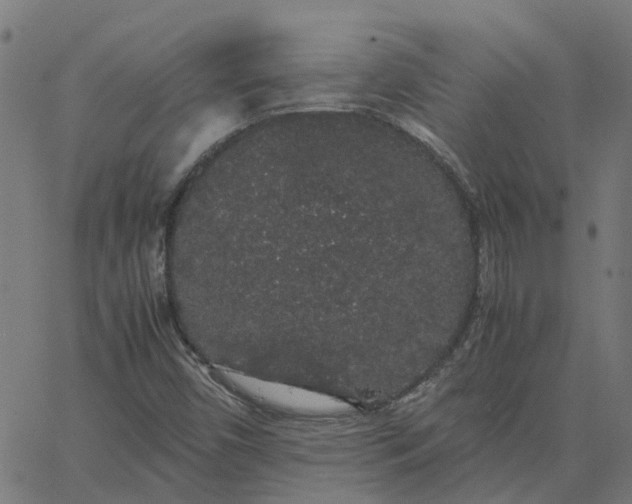 X0000067871450200604271723