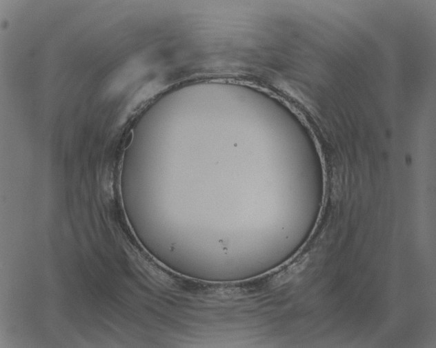 X0000067871451200604271723