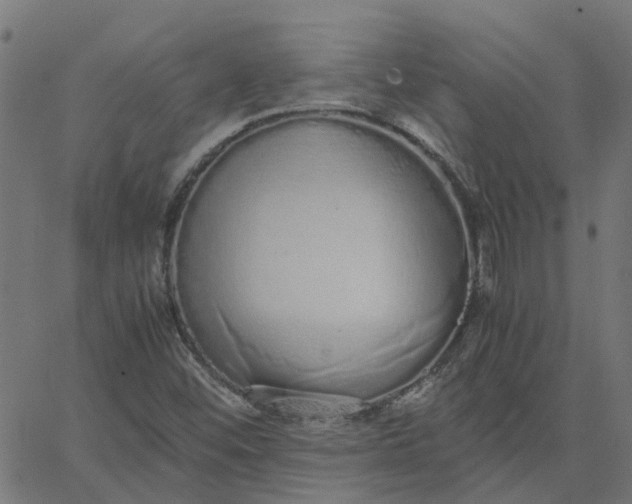 X0000067871452200604271723