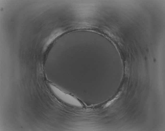 X0000067871453200604271723