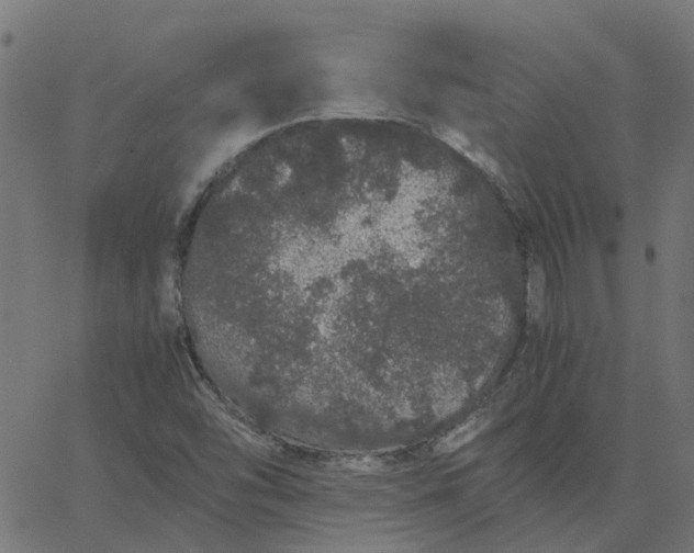 X0000067871454200604271723