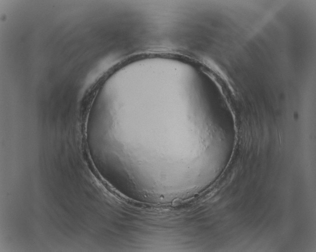 X0000067871456200604271723