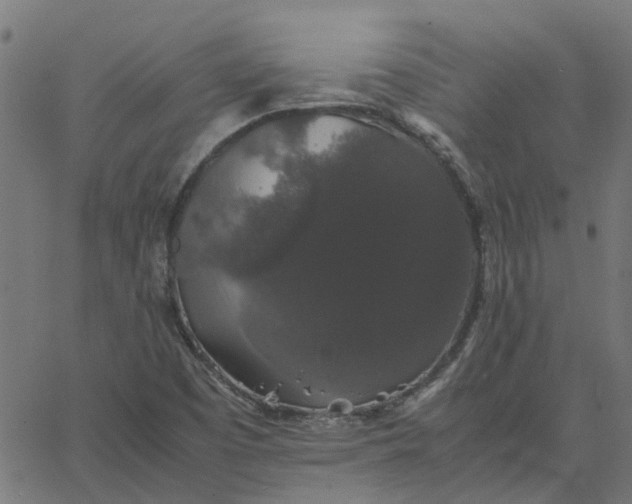 X0000067871457200604271723