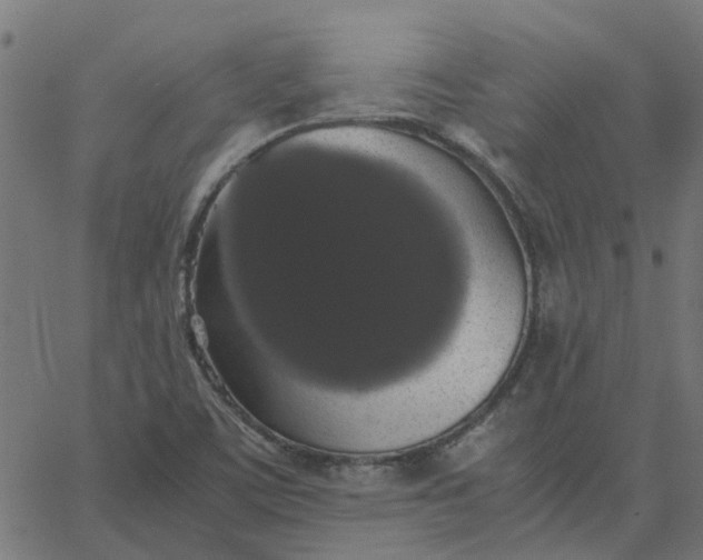 X0000067871459200604271723