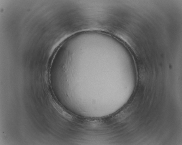 X0000067871460200604271723