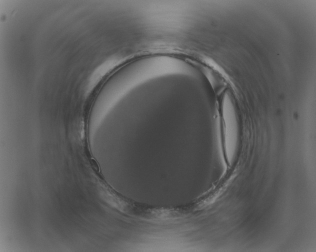 X0000067871461200604271723