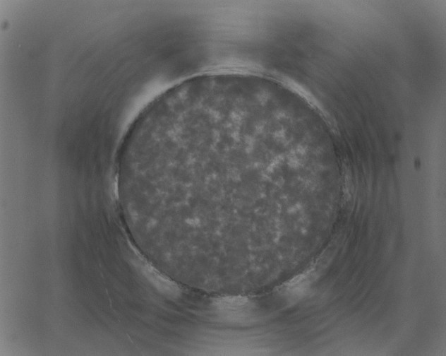 X0000067871462200604271723