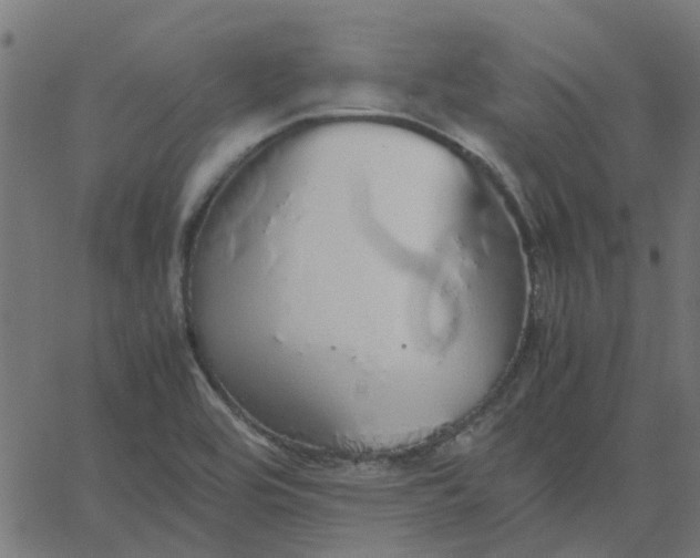 X0000067871464200604271723