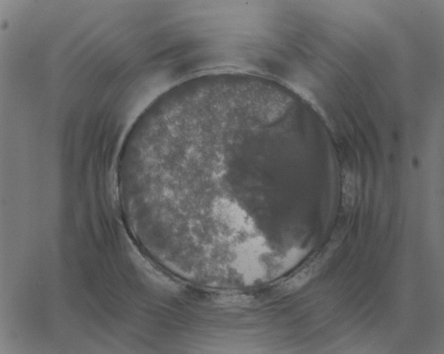 X0000067871466200604271723