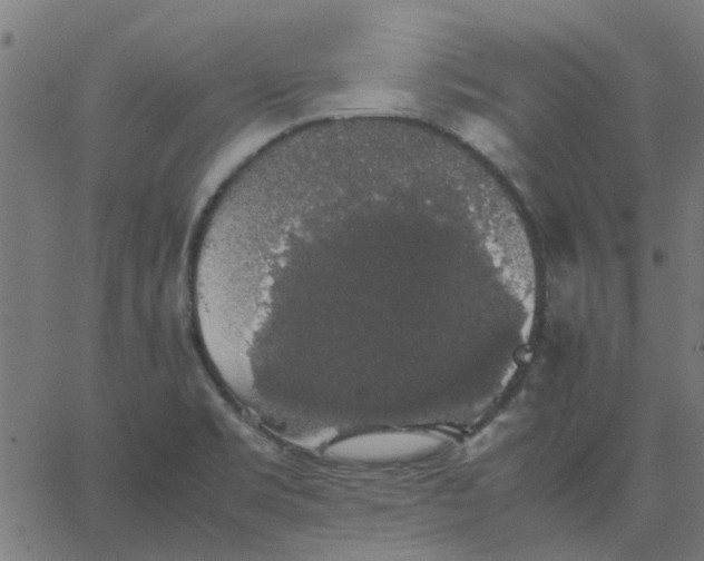 X0000067871469200604271723