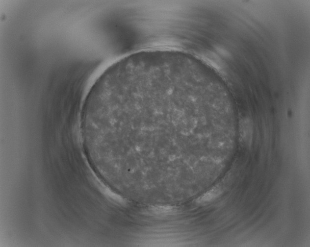 X0000067871470200604271723