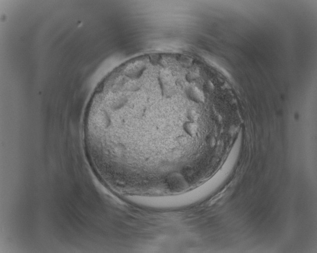 X0000067871471200604271723