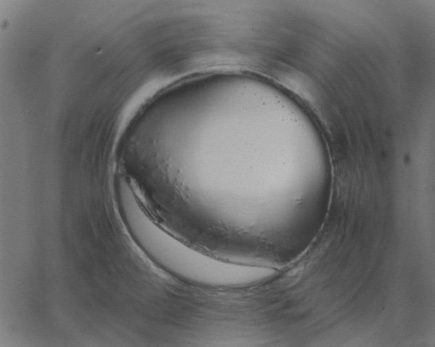 X0000067871472200604271723