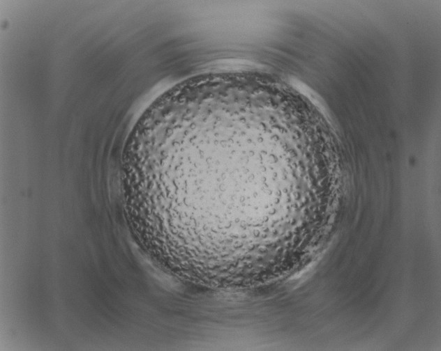 X0000067871473200604271723