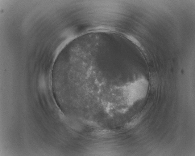 X0000067871474200604271723