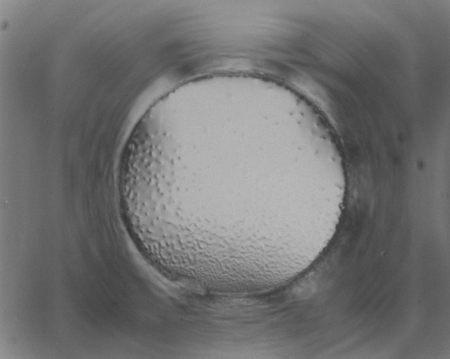 X0000067871475200604271723