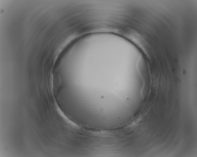 X0000067871476200604271723