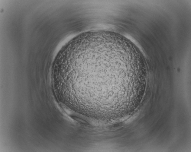 X0000067871477200604271723