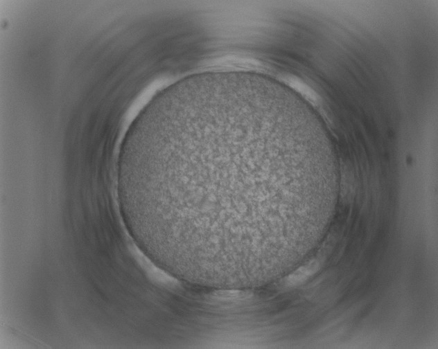 X0000067871478200604271723