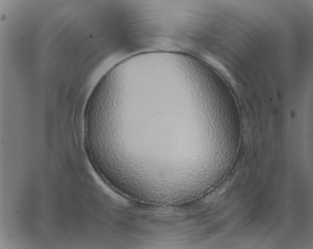 X0000067871479200604271723