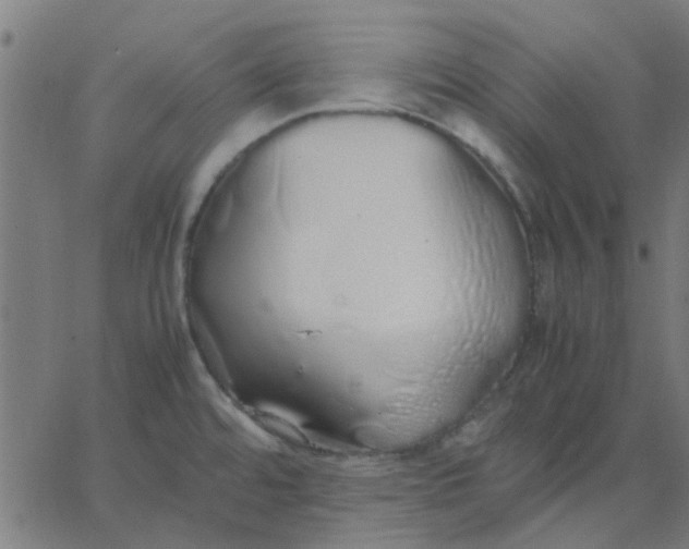 X0000067871480200604271723