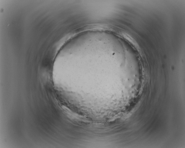 X0000067871481200604271723