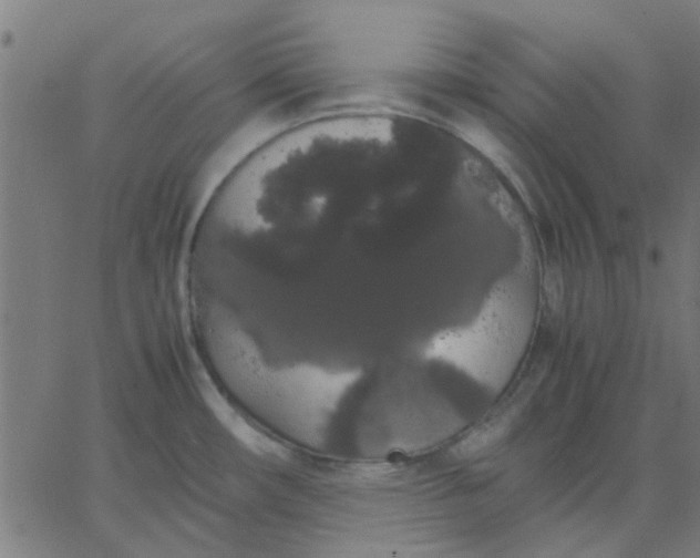 X0000067871482200604271723