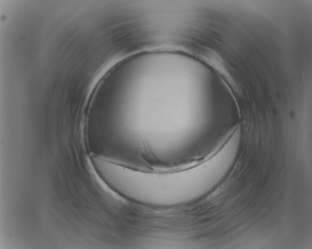 X0000067871484200604271723