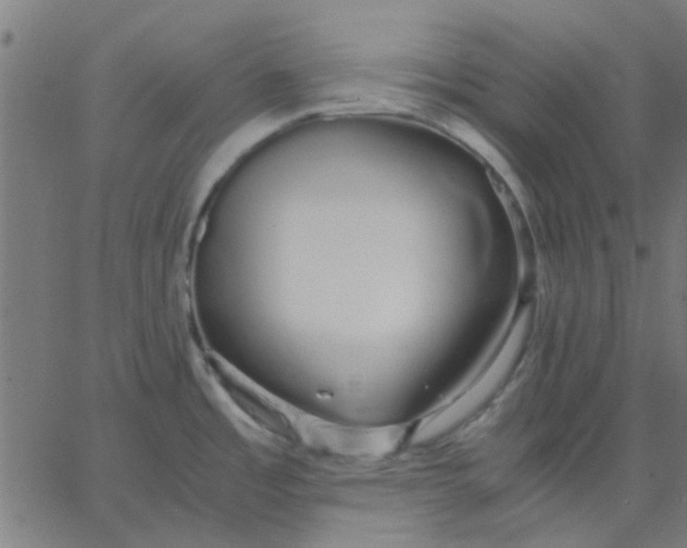 X0000067871485200604271723